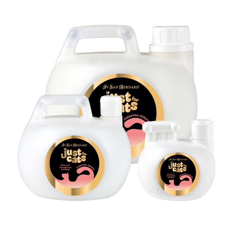 KERATIN STRENGTHENING SHAMPOO