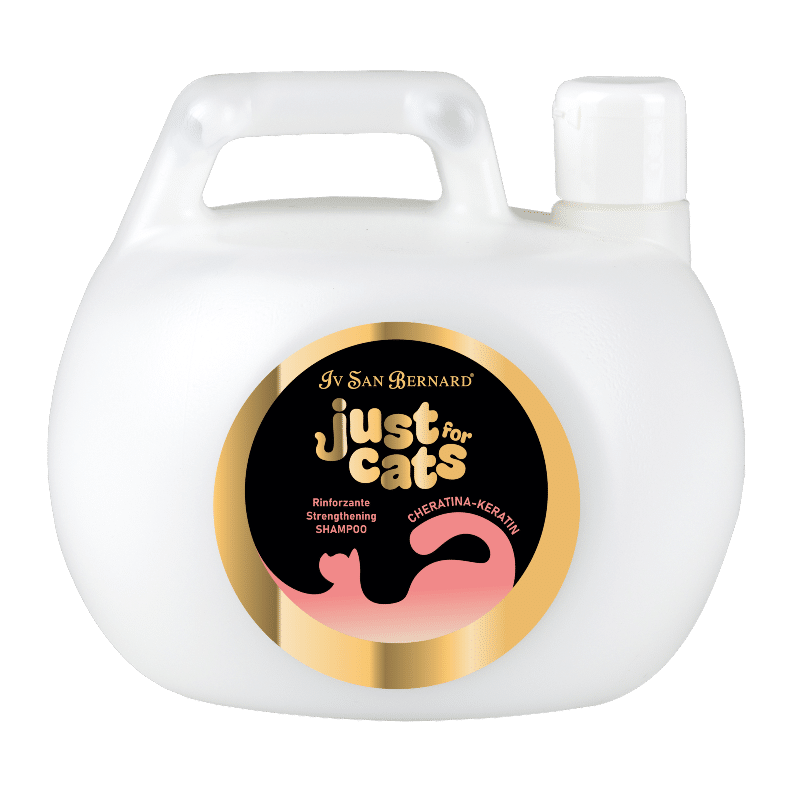 KERATIN STRENGTHENING SHAMPOO