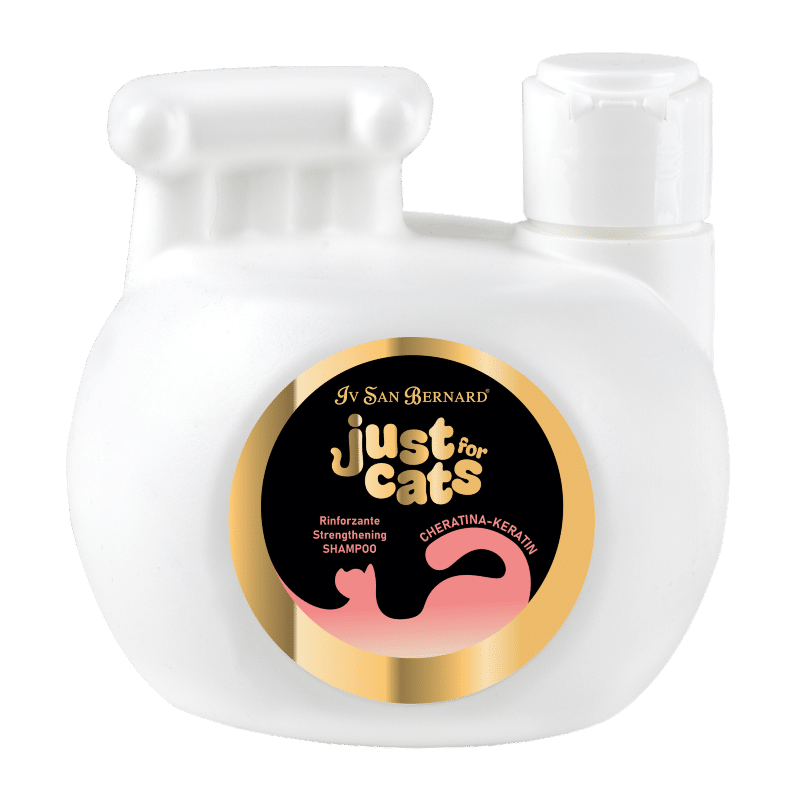 KERATIN STRENGTHENING SHAMPOO