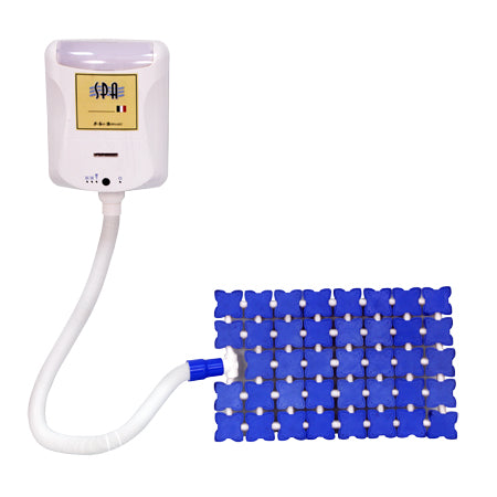 Machine de SPA à l'ozone d'hydromassage
