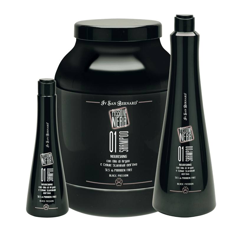 BLACK PASSION SHAMPOO 01