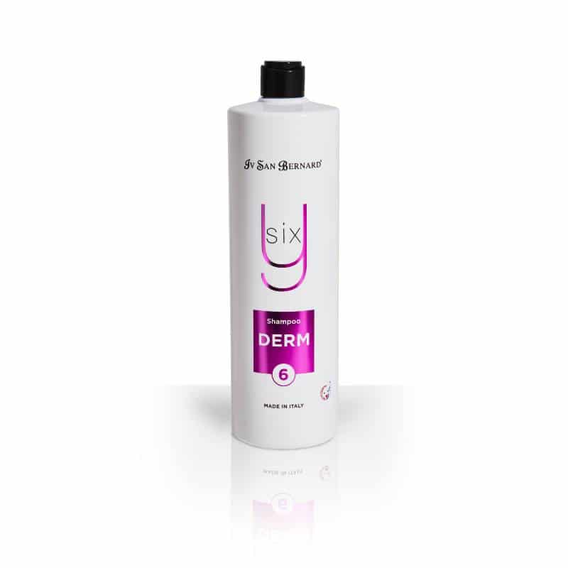 SHAMPOO DERM Y6 1000ML