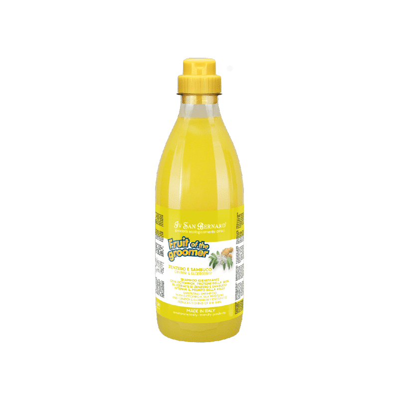 GINGER & ELDERBERY SHAMPOO