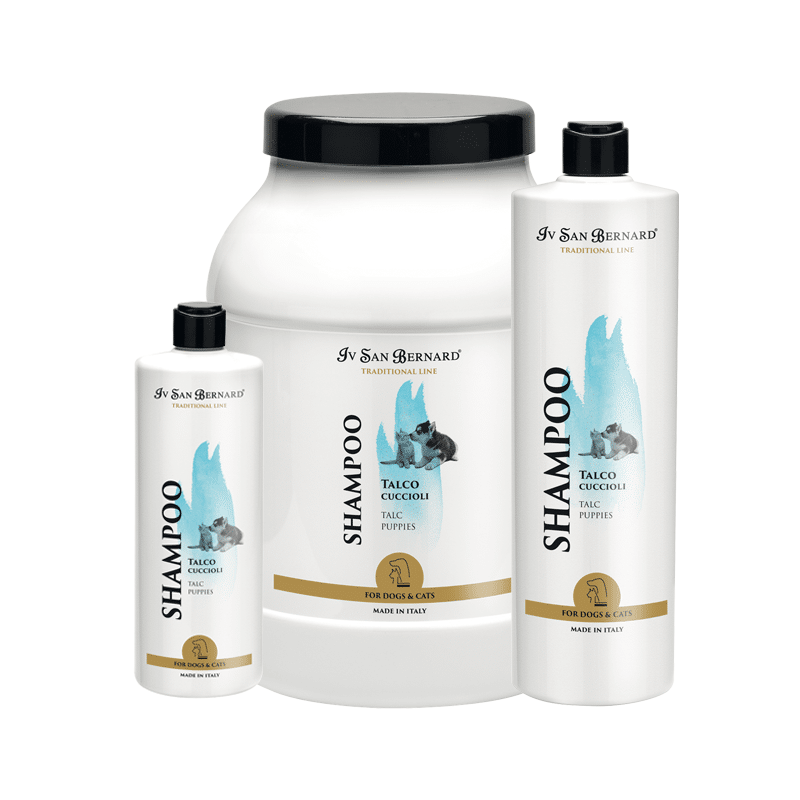 TALC SHAMPOO